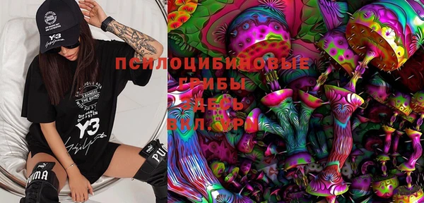 ГАЛЛЮЦИНОГЕННЫЕ ГРИБЫ Абаза